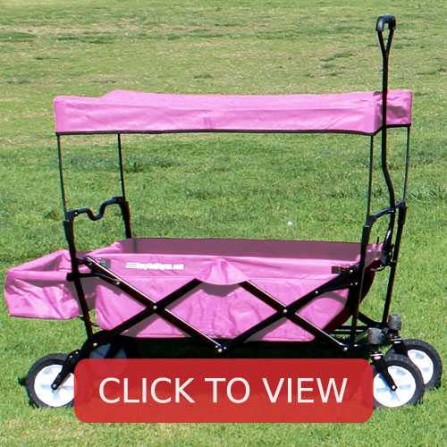 pink wagon